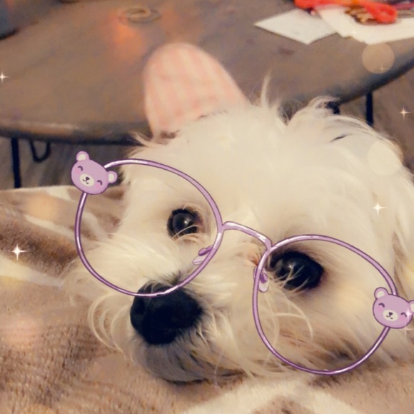 Welcome to Poppy & Company - Picture 3 of 4